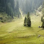 Stubn In Der Frasdorfer Huette بيت ريفي فراسدورف
